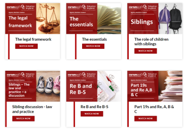 Screenshot of video cards